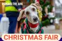 RSPCA branch to host annual Christmas Fair this month