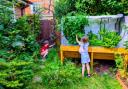 Will and his family decided to transform a small patch of land into a passion project