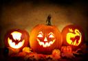 Pumpkin-decorating masterclasses will take place on the day