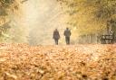 October - Autumn in Rothamsted Park