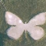 Aerial photos of Butterfly World in Chiswell Green