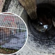 “The poor fox was very weak and his head was drooping towards water at the bottom of the hole