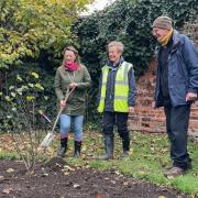 Deputy Mayor Cllr Josie Madoc planting in the Civic Rose Garden with Christine and David Graves