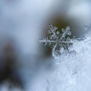 Snow has been predicted for Watford, St Albans, Hatfield, Welwyn Garden City, Stevenage and North Herts.