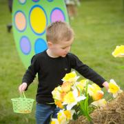 An Easter Egg Hunt in the Easter Garden at Willows Activity Farm.