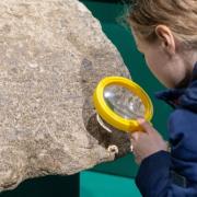 Archaeology for Families at Verulamium Museum