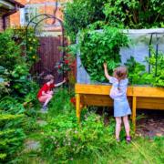 Will and his family decided to transform a small patch of land into a passion project