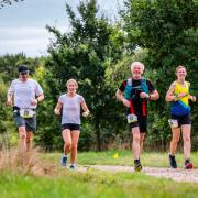 Runners at the 2024 St Albans Stampede. Picture: GRAHAM SMITH