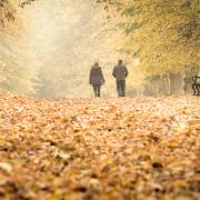 October - Autumn in Rothamsted Park