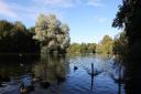 Stanborough Lakes. Picture: Karyn Haddon