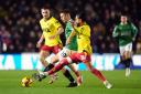 LIVE: Plymouth v Watford