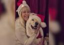 Lynn Gower and her dog, Milo, are ready for Christmas