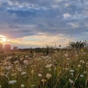 Ellenbrook Fields