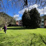 Residents have expressed their displeasure after the trees were cut down