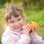 The Pumpkin Festival returns to Willows Activity Farm this month