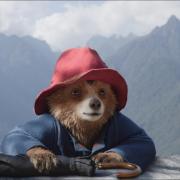 Paddington in Peru was filmed in Peru and Hertfordshire