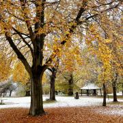 Snow image from the Watford Observer Camera Club today (November 19).