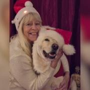 Lynn Gower and her dog, Milo, are ready for Christmas