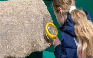 Archaeology for Families at Verulamium Museum